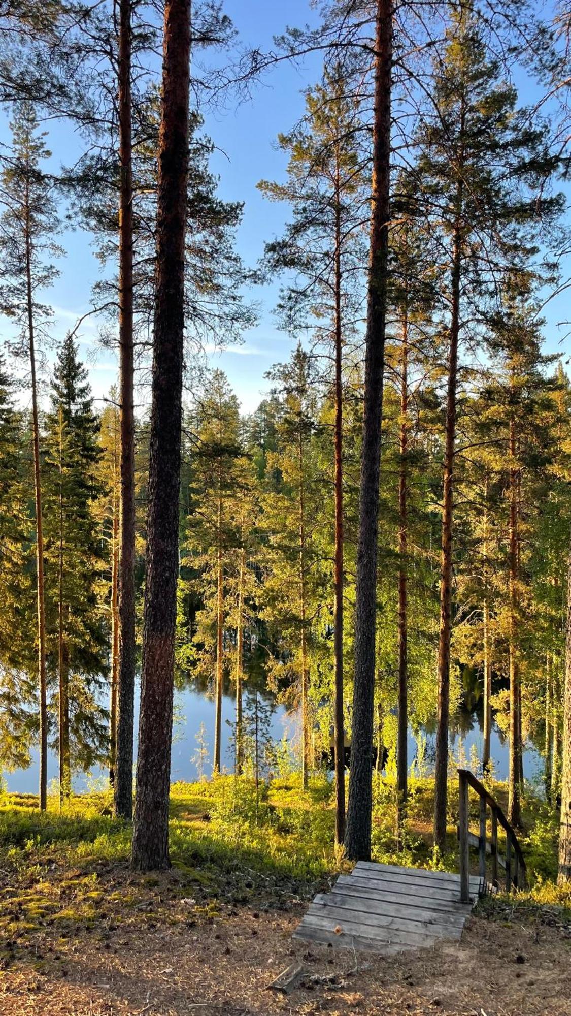 Ahvenlampi Camping Saarijärvi Kültér fotó