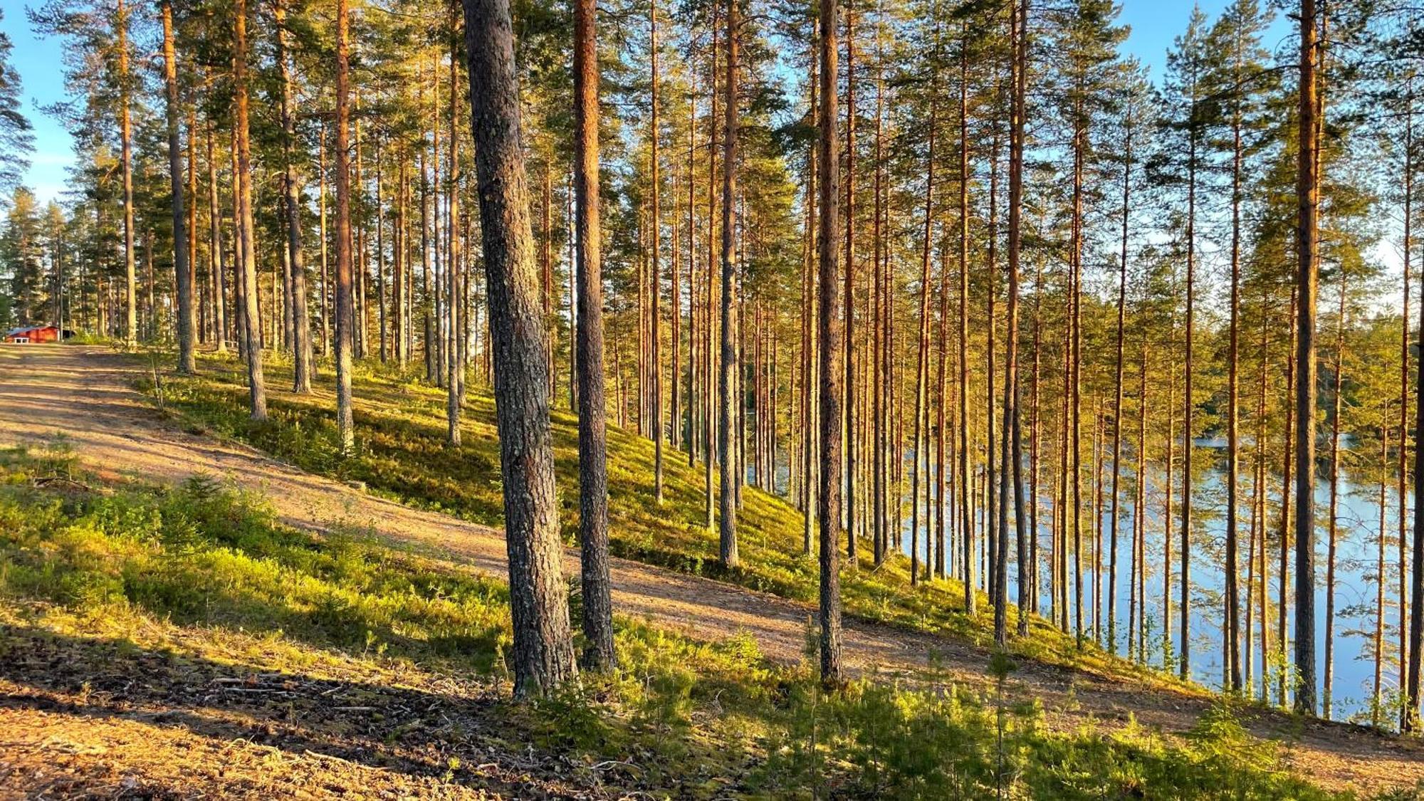 Ahvenlampi Camping Saarijärvi Kültér fotó