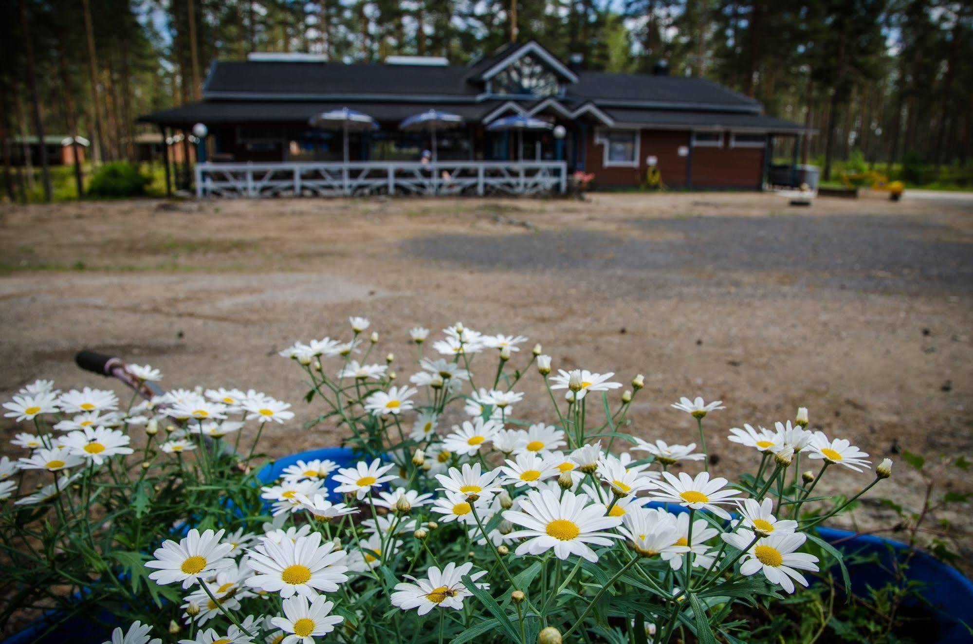 Ahvenlampi Camping Saarijärvi Kültér fotó